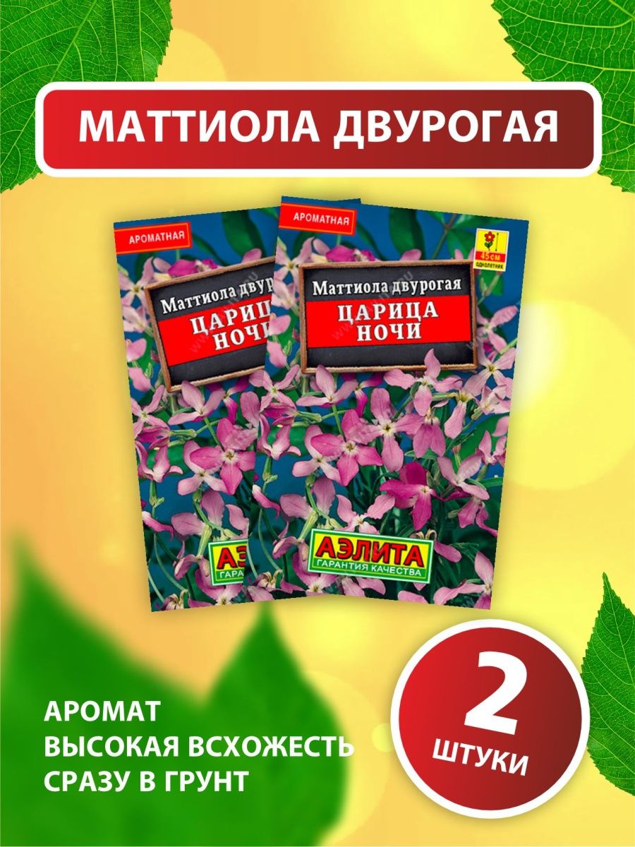 Маттиола царица ночи. Маттиола.