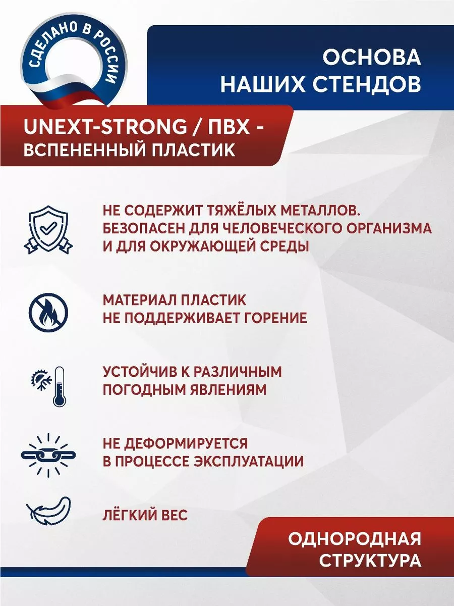 Школьный стенд в кабинет русского языка 99 на 75 см Нижстенд 149981021  купить за 1 022 ₽ в интернет-магазине Wildberries