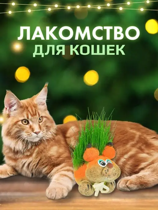 Сады Аурики Травянчик растущая травка белка микрозелень, 2 шт, фото 4