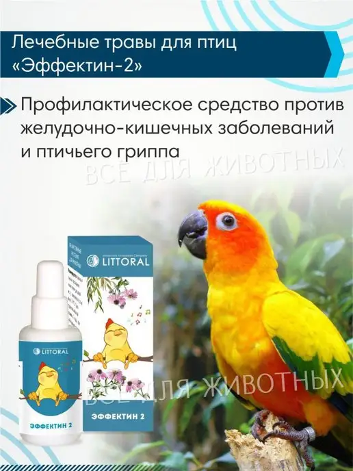 Литораль Витамины для птиц для укрепления иммунитета для жкт, 50 мл, фото 2