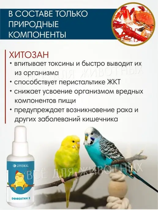 Литораль Витамины для птиц для укрепления иммунитета для жкт, 50 мл, фото 3