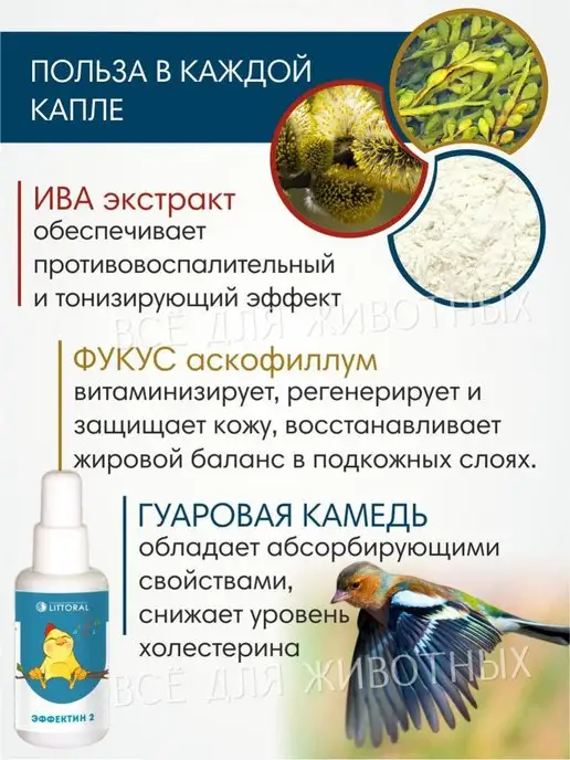 Литораль Витамины для птиц для укрепления иммунитета для жкт, 50 мл, фото 4