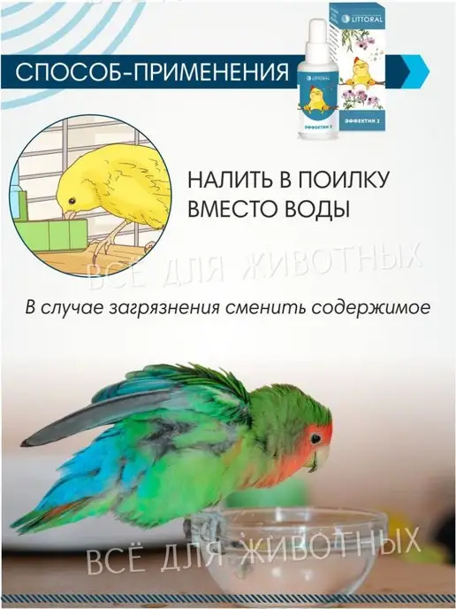 Литораль Витамины для птиц для укрепления иммунитета для жкт, 50 мл, фото 5