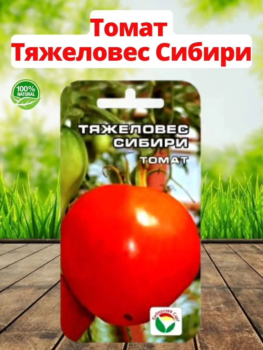 Тяжеловес Сибири Томат Описание И Фото Отзывы - Telegraph