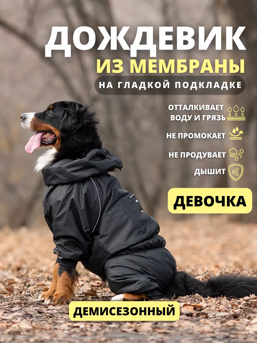 Комбинезон дождевик для собак средних крупных ШТОРМ