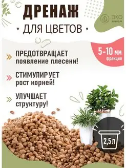 Интернет-магазин Wildberries: широкий ассортимент товаров - скидки каждый день!