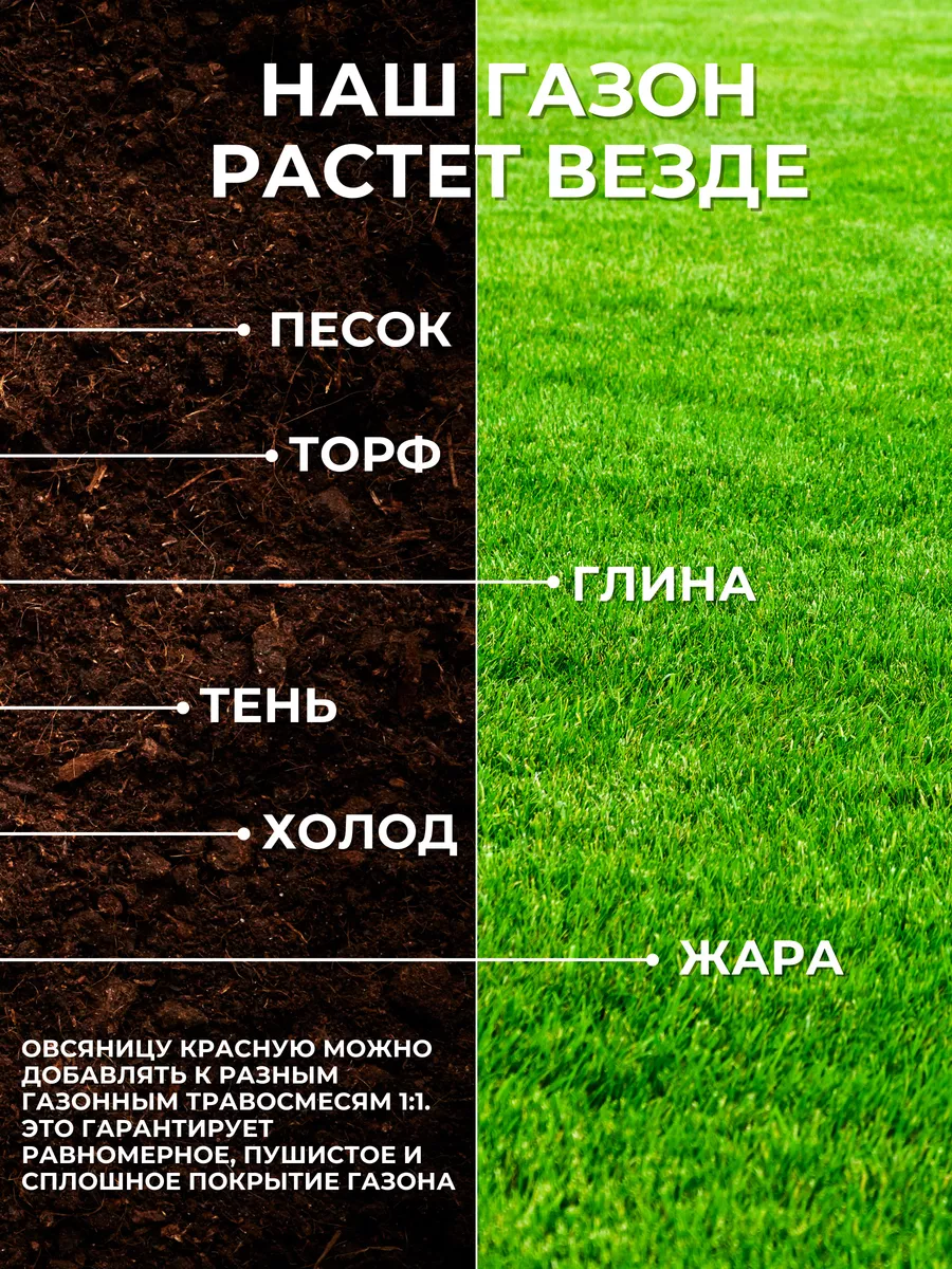 Овсяница красная для многолетнего газона GreenIsland 150164962 купить за  659 ₽ в интернет-магазине Wildberries