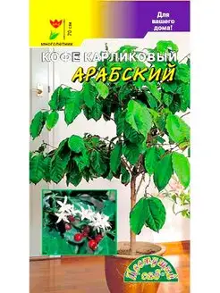 Семена Кофе Арабский Цветущий сад 150168344 купить за 119 ₽ в интернет-магазине Wildberries