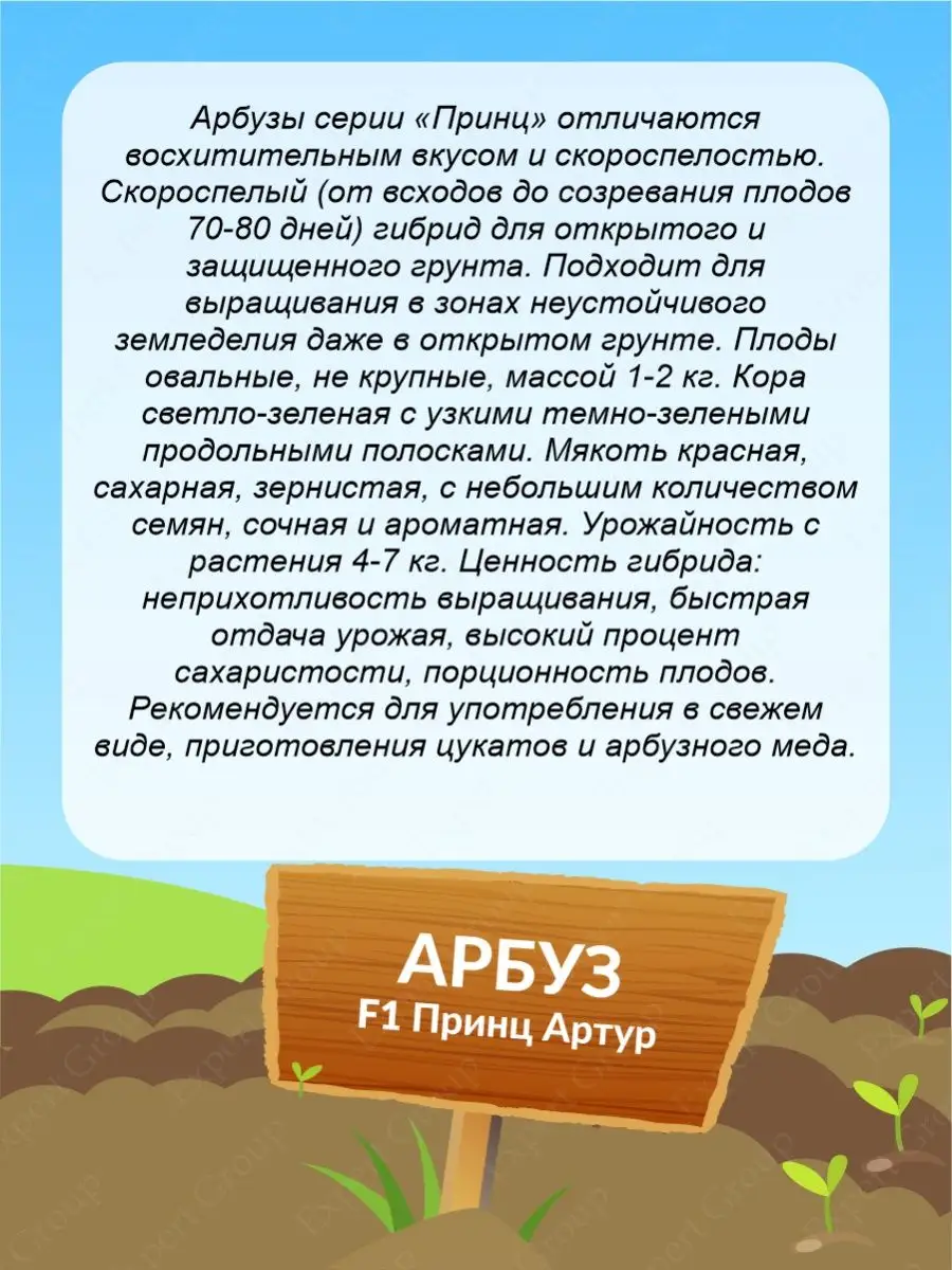 Семена Арбуз Принц Артур F1 Скороспелые 0,5 гр. х 3 уп. СеДек 150243314  купить за 383 ₽ в интернет-магазине Wildberries