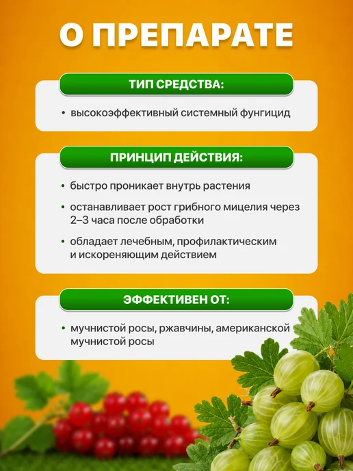 Avgust Средство защиты растений Топаз, 5шт по 2мл, 10 мл, фото 2