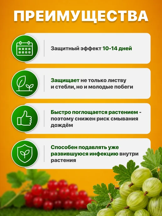 Avgust Средство защиты растений Топаз, 5шт по 2мл, 10 мл, фото 3
