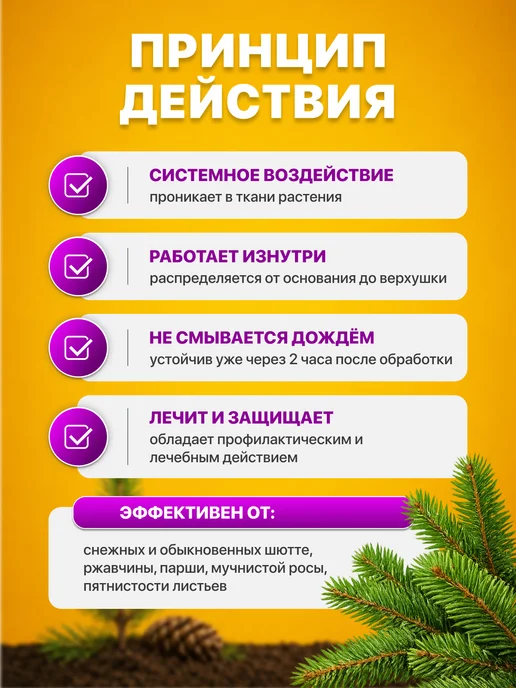 Avgust Ракурс для хвойных растений от шютте, ржавчины, 4мл, 4 мл, фото 2