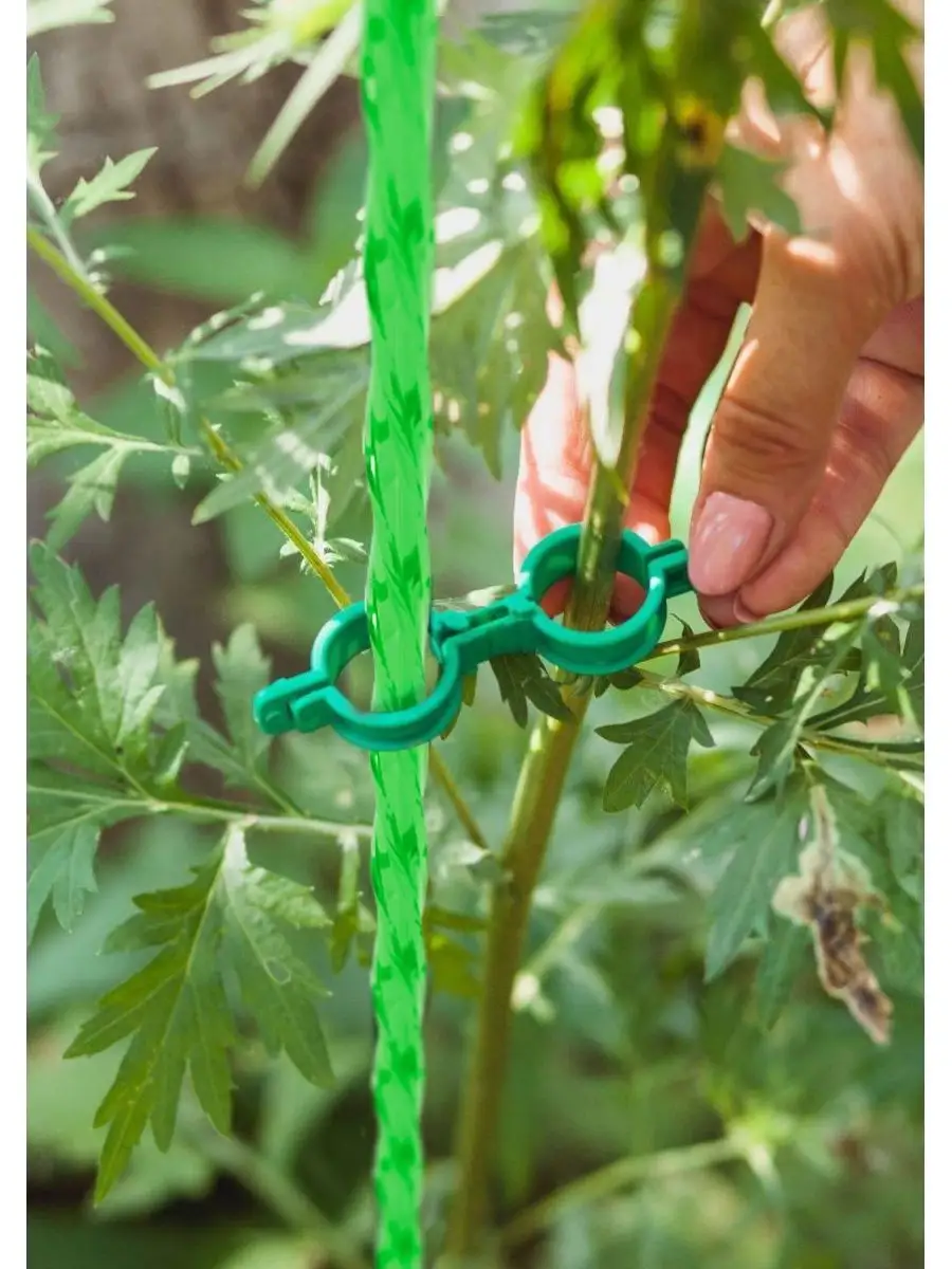 Клипсы для подвязки растений. Подвязка для растений. Пластиковые подвязки для растений. Колышки для подвязки. Как пользоваться подвязками для растений.