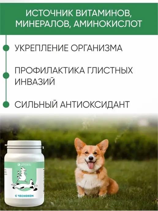 Литораль Витамины для сердца для кошек и собак, вариант, фото 3