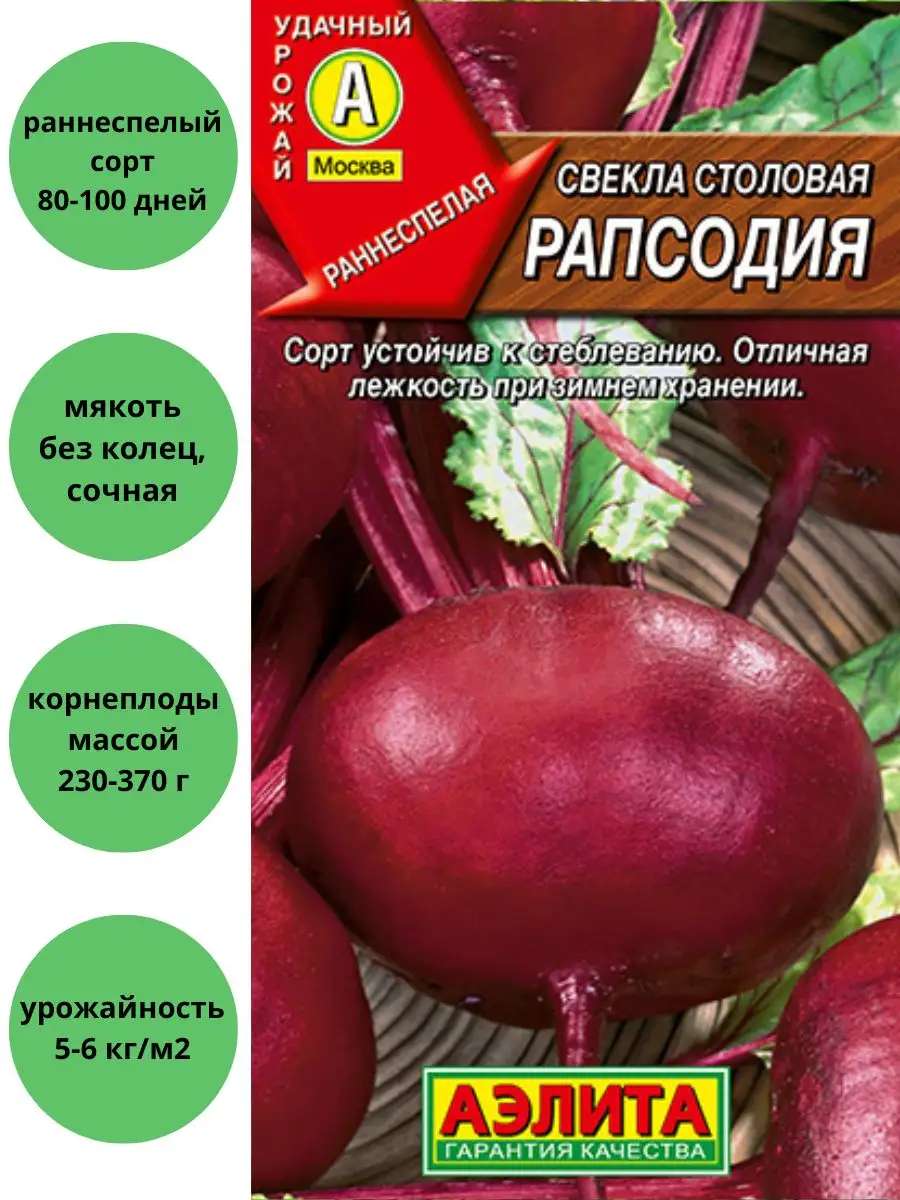 Свекла Рапсодия столовая Агрофирма Аэлита 150369568 купить за 130 ₽ в  интернет-магазине Wildberries