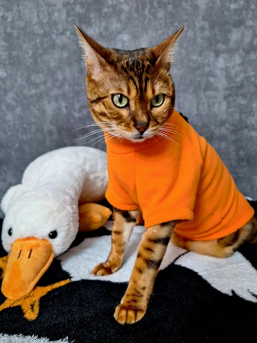 TIGRA WEAR Одежда для кошек - толстовка флисовая на молнии, оранжевый, фото 5