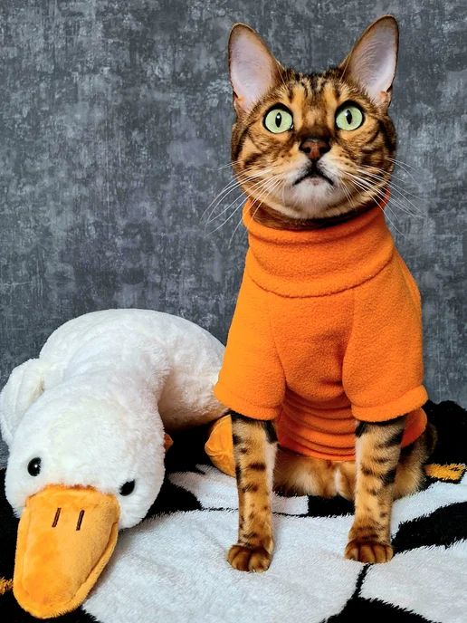 TIGRA WEAR Одежда для кошек - толстовка флисовая на молнии, оранжевый, фото 7