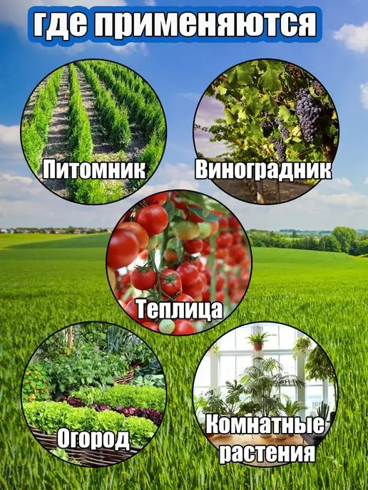 Садовод Опора для цветов комнатных и растений в саду высокая 10 шт, 10 шт, фото 3