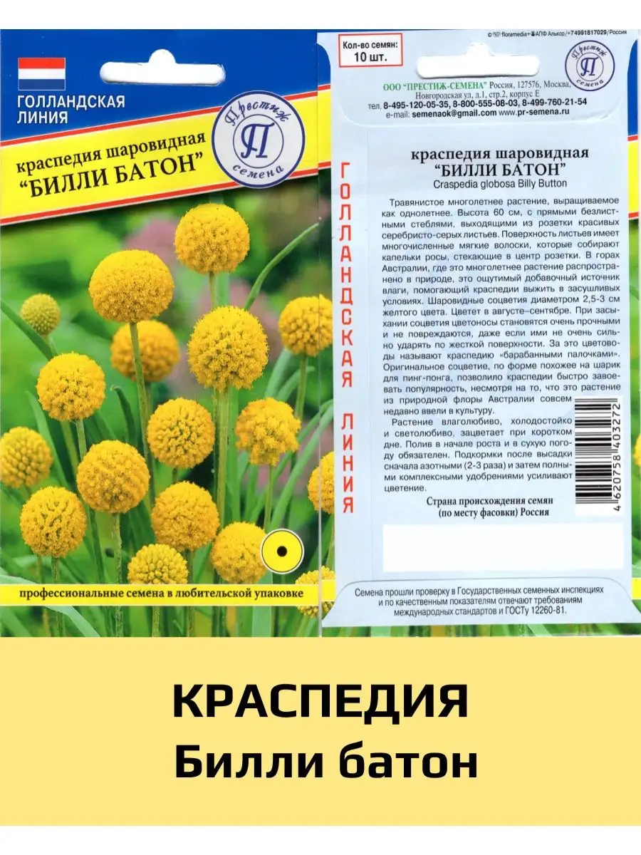 Семена Краспедия Билли Батон, ПРЕСТИЖ, 1 уп Престиж 150471493 купить за 195  ₽ в интернет-магазине Wildberries