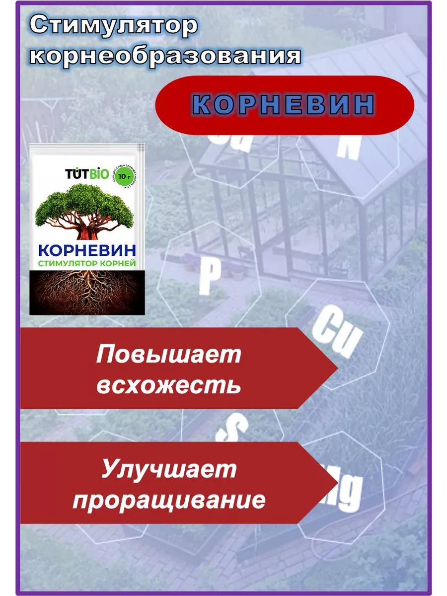 Стимулятор роста черенков. Раствор корневина для черенков. Корневин для растений. Раствор стимулятора корнеобразования.