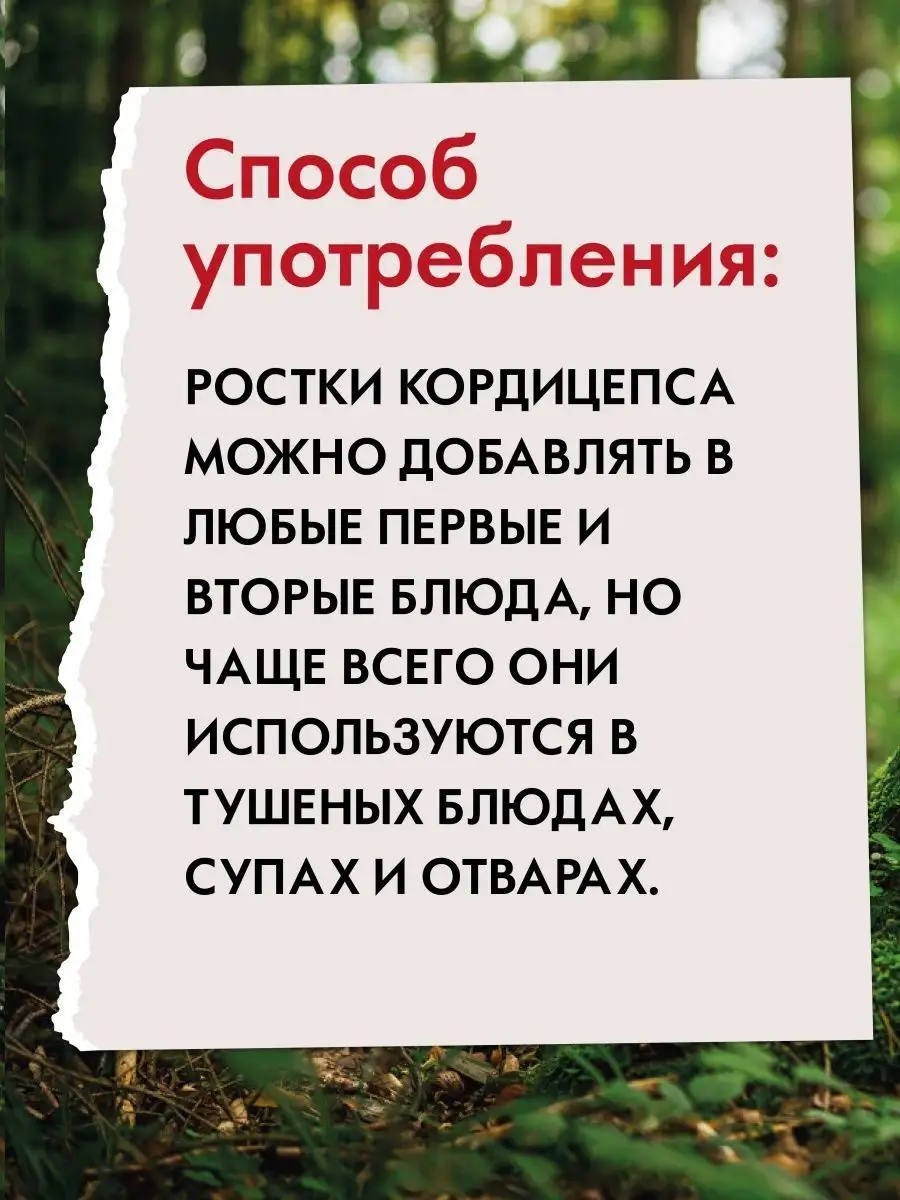 Кордицепс сушеный натуральный 100гр. FOREST VIBE 150580607 купить за 869 ₽  в интернет-магазине Wildberries