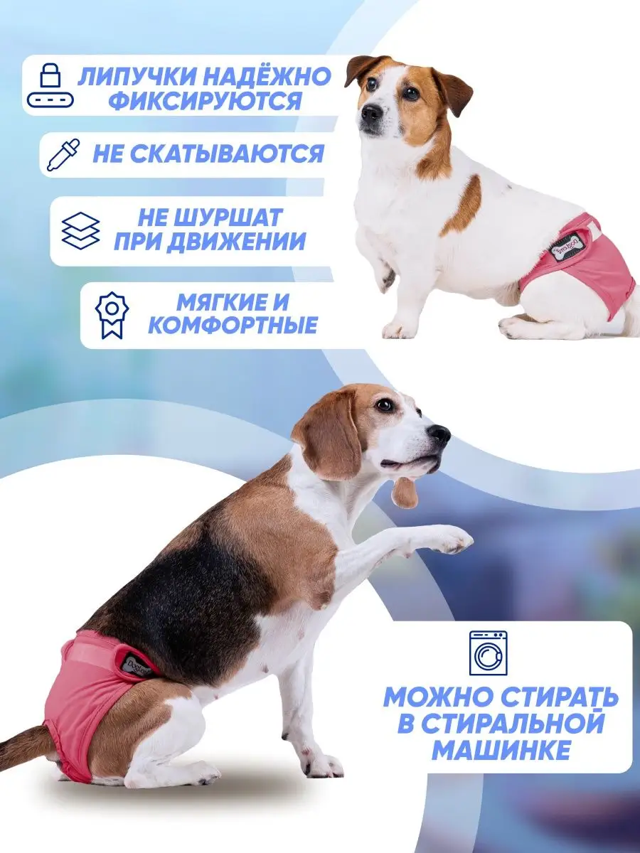 Трусы для животных Furry Child 150586195 купить за 539 ₽ в  интернет-магазине Wildberries