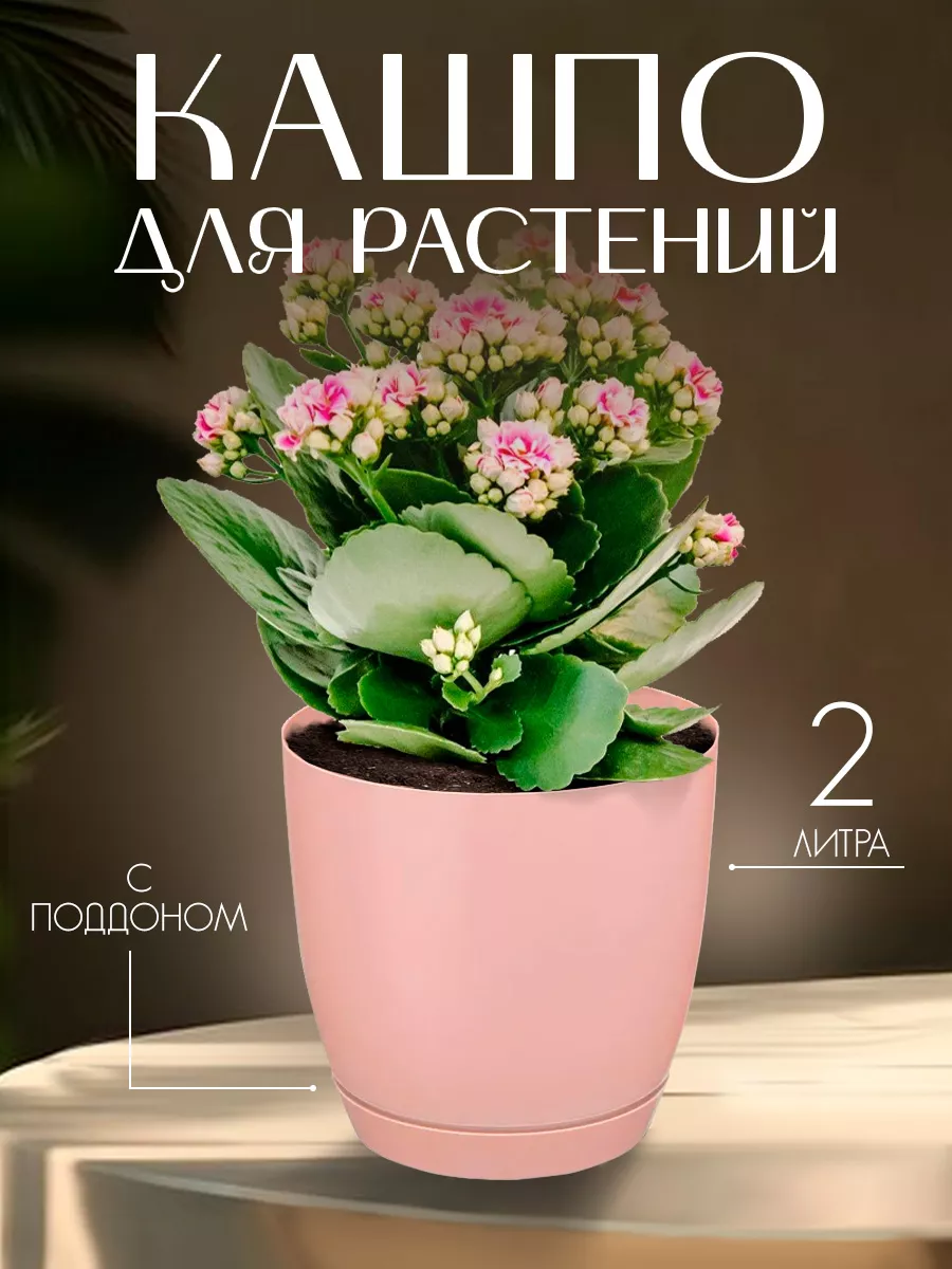 Горшок для цветов пластиковый на 2 л