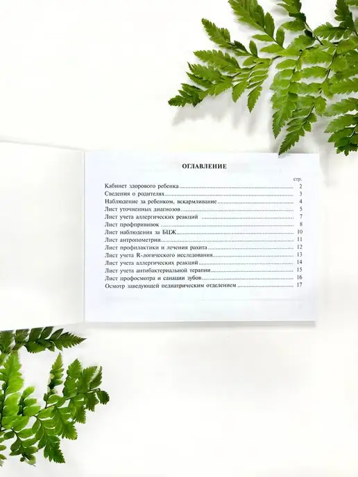 Yulka Crafts Медицинская карта 112 у и прививочный сертификат 156 -93, вариант, фото 2
