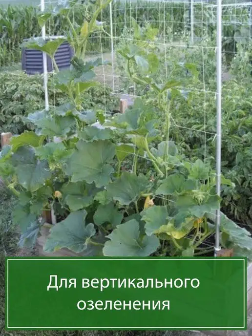 Edigei Сетка для растений, белый, фото 6