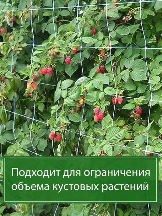 Edigei Сетка для растений, белый, фото 8