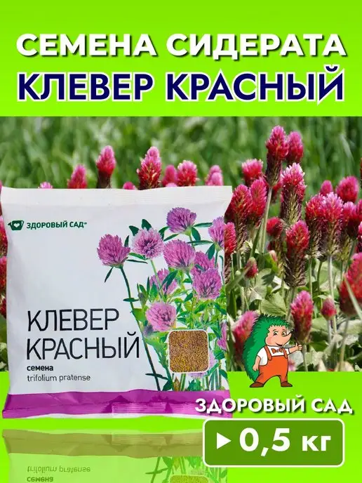 ЗДОРОВЫЙ САД Клевер красный сидерат, 1 пакет 500гр, 500 г, фото 2