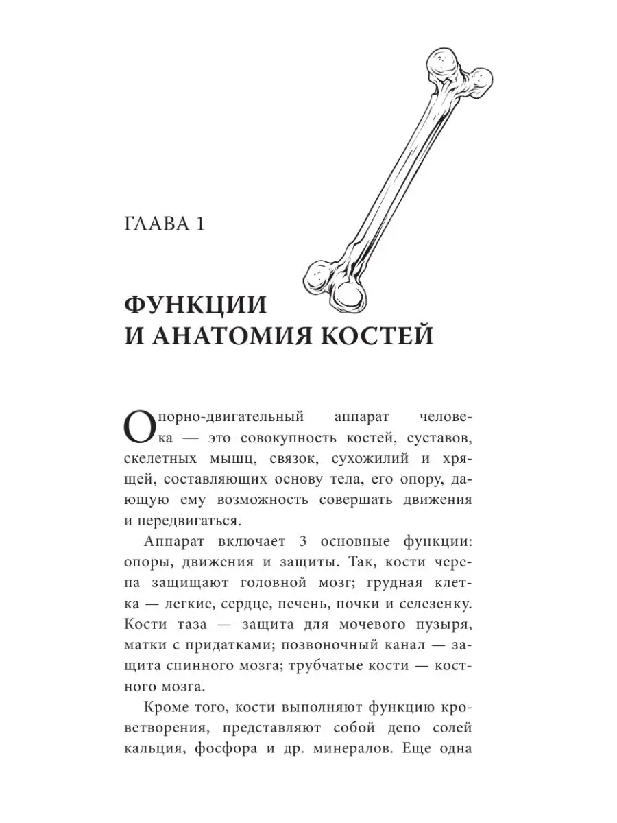 хентай матка 