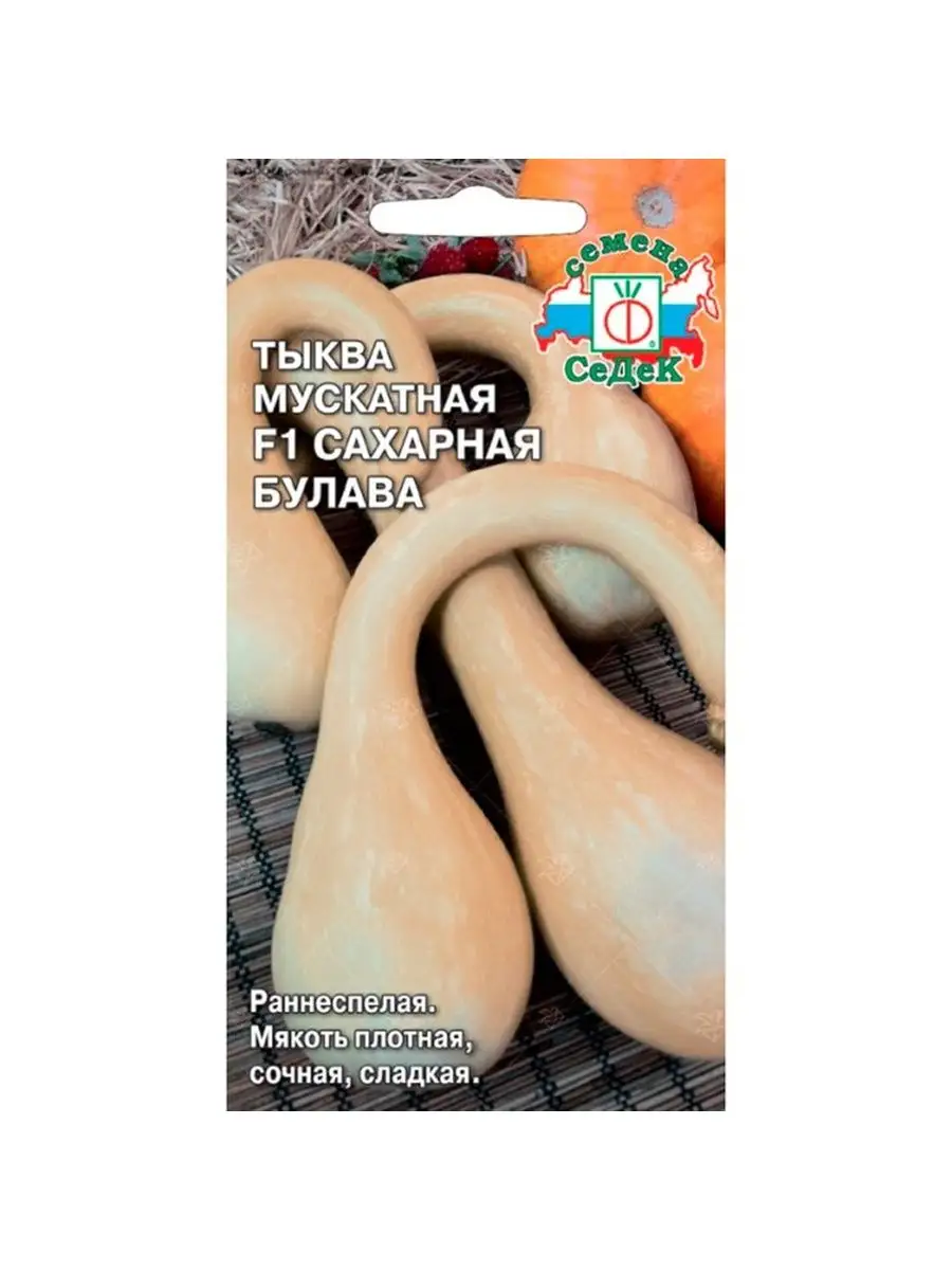 Тыква сладкая. Тыква капитошка. Тыква биг мун. Тыква мускатная грушевидная. Сорт тыквы тромбон.