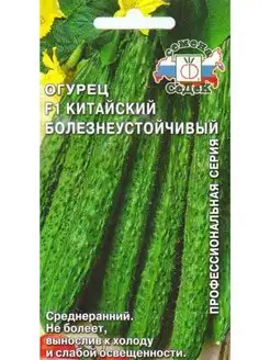 Семена Огурца Китайский Болезнеустойчивый F1 в Теплицу Грунт СеДек 150720547 купить за 168 ₽ в интернет-магазине Wildberries