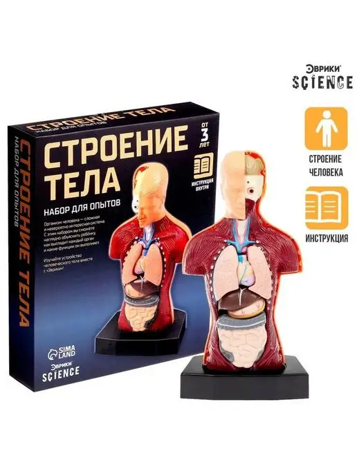 Эврики Набор для опытов "Строение тела", изучаем строение организма, вариант, фото 2