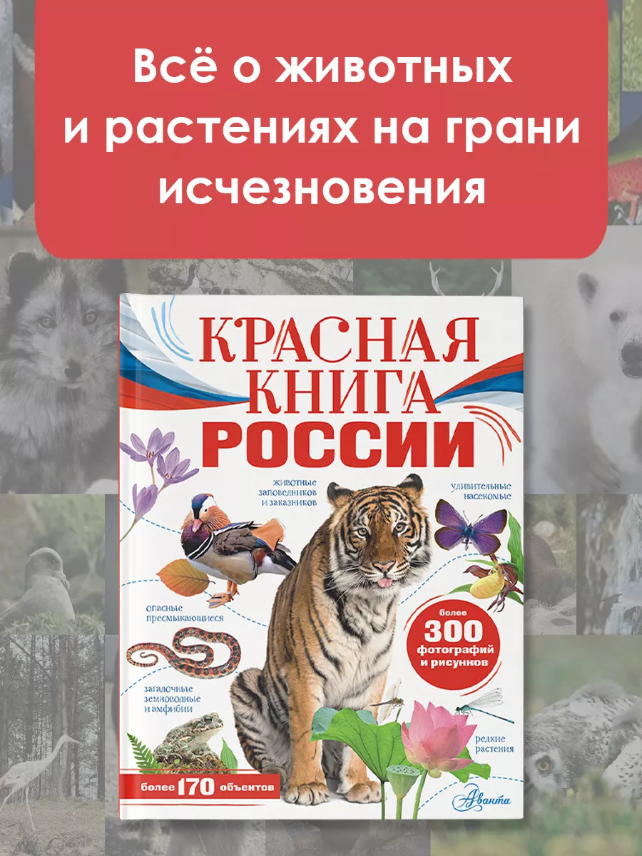 Красная книга России Издательство АСТ 150806038 купить за 557 ₽ в  интернет-магазине Wildberries