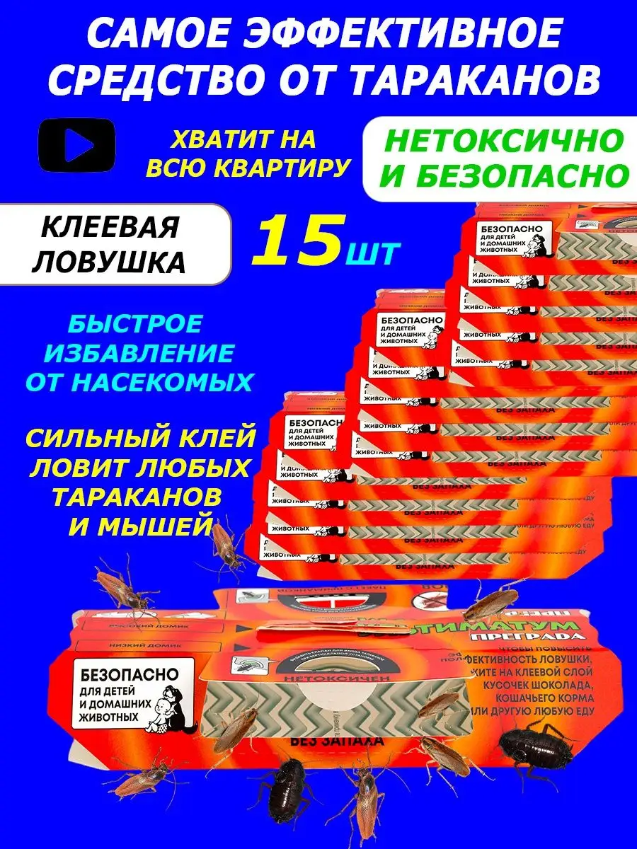 Хищные птицы и голубеводы. Ловушки для ястребов? – Український центр досліджень хижих птахів