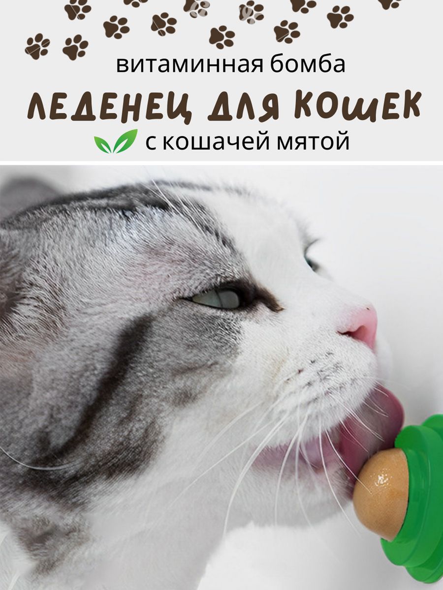 Леденец с кошачьей мятой. Леденец для кошек. Кошачья мята леденец. Мятный леденец для кошки. Леденец с кошечкой.