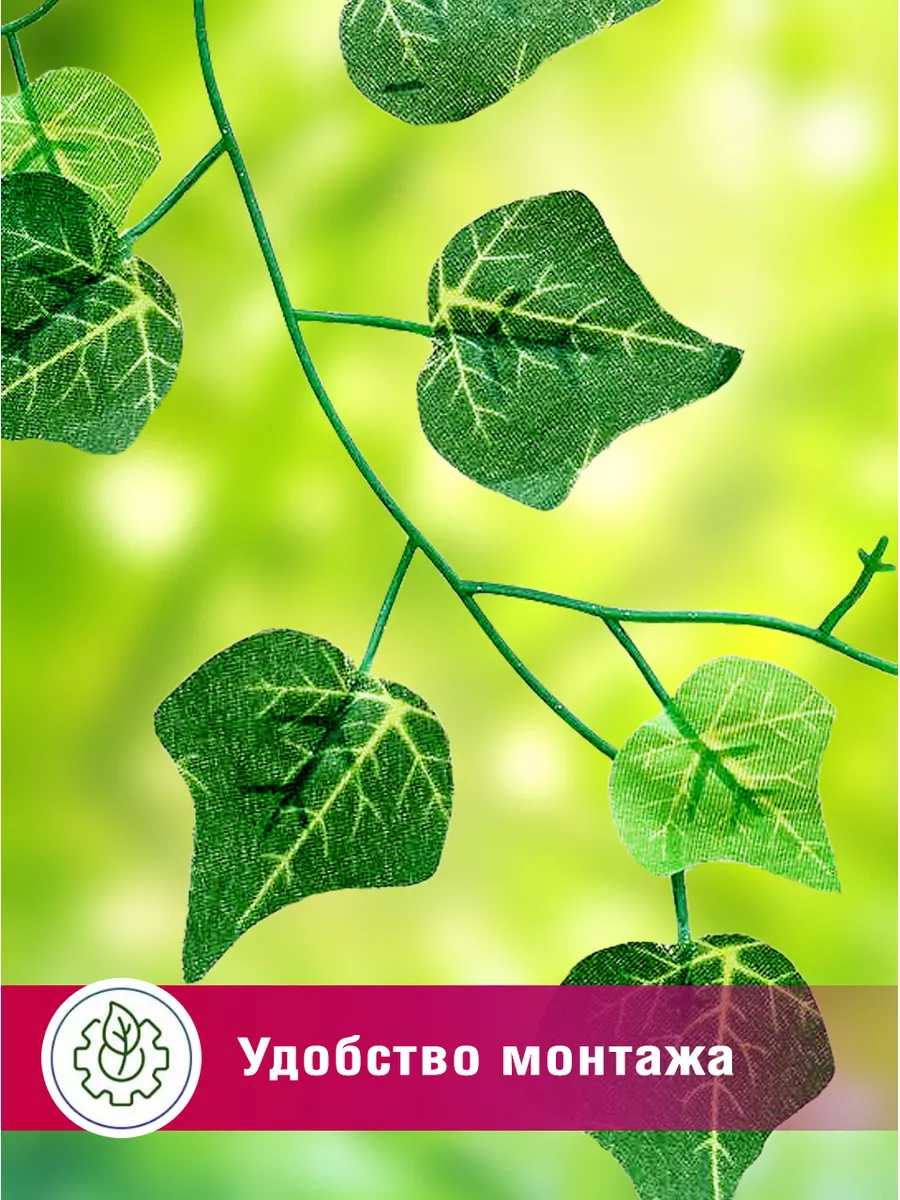 Вертикальное озеленение в ландшафтном дизайне: популярные способы и 15 лучших растений