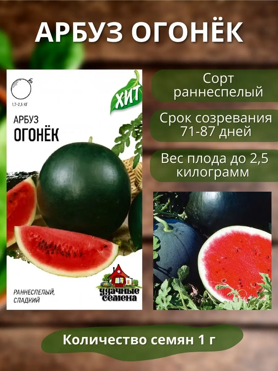 Семена арбуза и дыни Удачные семена 150917227 купить за 125 ₽ в  интернет-магазине Wildberries