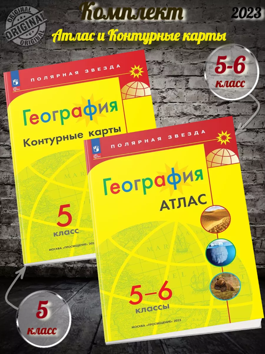 Матвеев Полярная звезда Атлас 5-6 класс + К/к 5 класс Просвещение 150944102  купить за 505 ₽ в интернет-магазине Wildberries