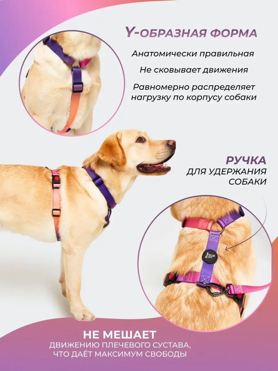 Шлейка для собак анатомическая MiAmorPETS 150955314 купить за 950 ₽ в  интернет-магазине Wildberries