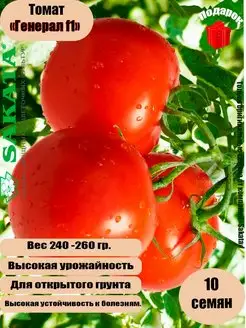 Томат Генерал F1 10 семян Sakata 150972547 купить за 82 ₽ в интернет-магазине Wildberries