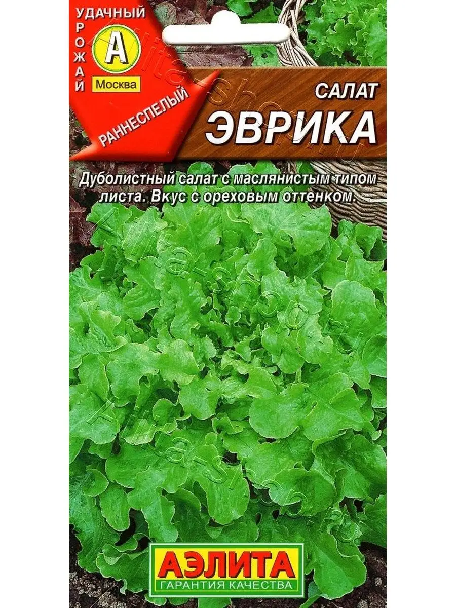 Салат Эврика листовой