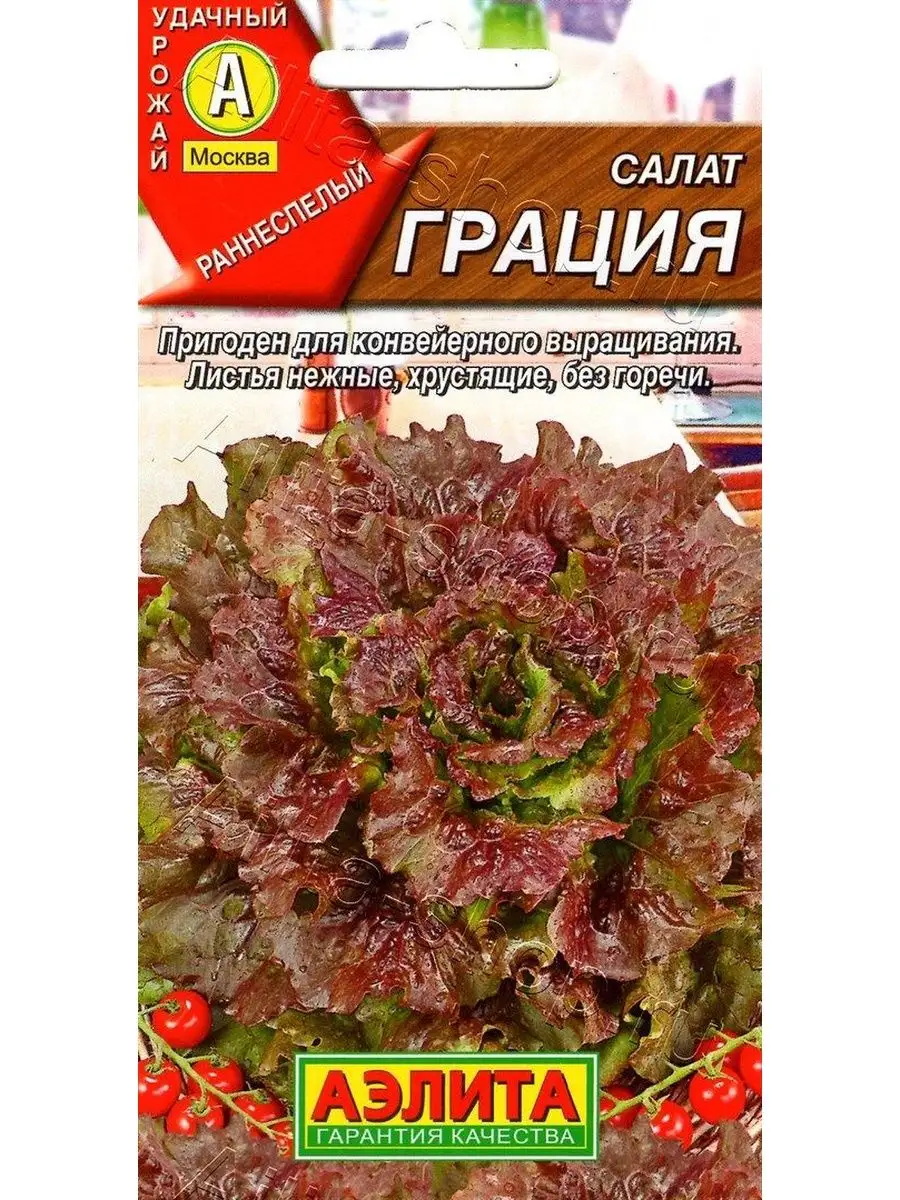 Салат Грация листовой