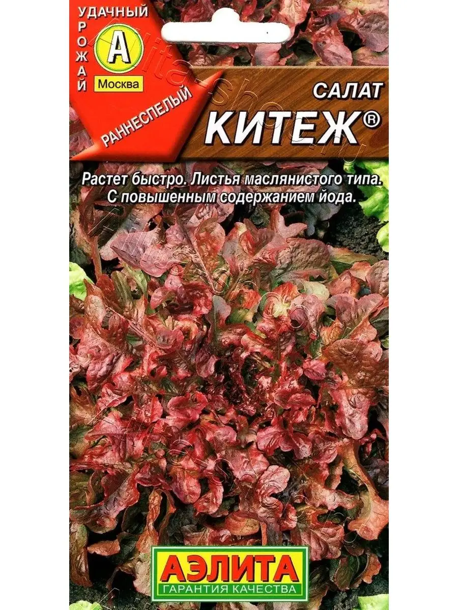 Салат Китеж листовой