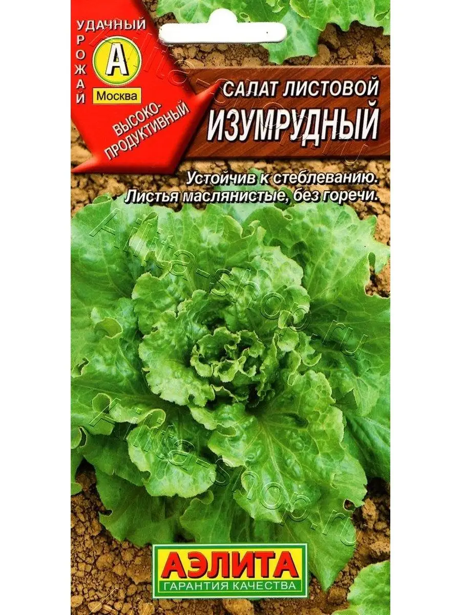 Салат Изумрудный листовой Агрофирма Аэлита 150996900 купить за 118 ₽ в  интернет-магазине Wildberries