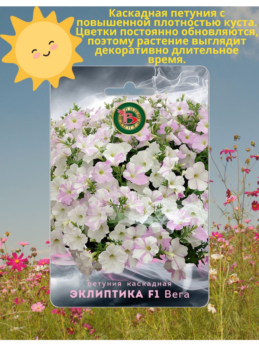 Петуния эклиптика