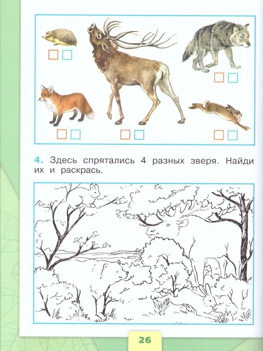 Рабочая тетрадь. ФГОС. Окружающий мир, новое оформление, 1 класс, Часть 2, Плешаков А. А.