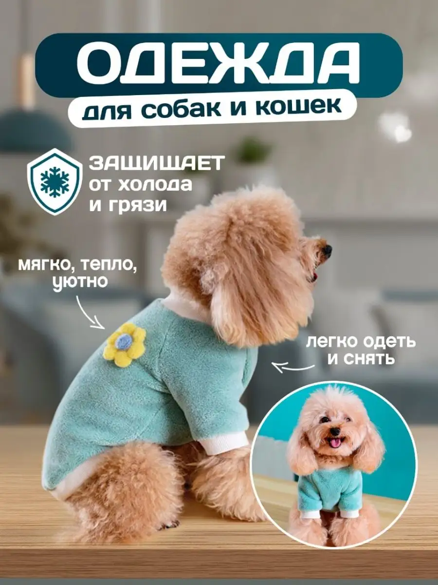 DIZOLA Одежда для собак мелких пород и кошек свитер для животных